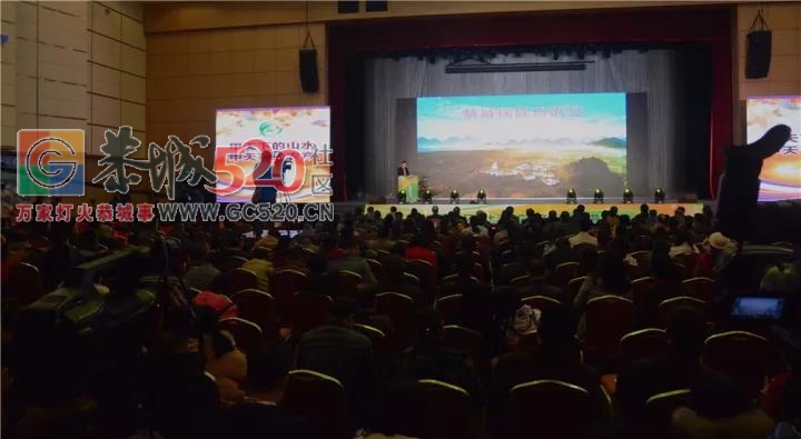 我县展出农产品在第十三届广西名特优农产品交易会抢眼471 / 作者:分叉路口 / 帖子ID:246126