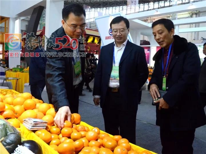 我县展出农产品在第十三届广西名特优农产品交易会抢眼61 / 作者:分叉路口 / 帖子ID:246126