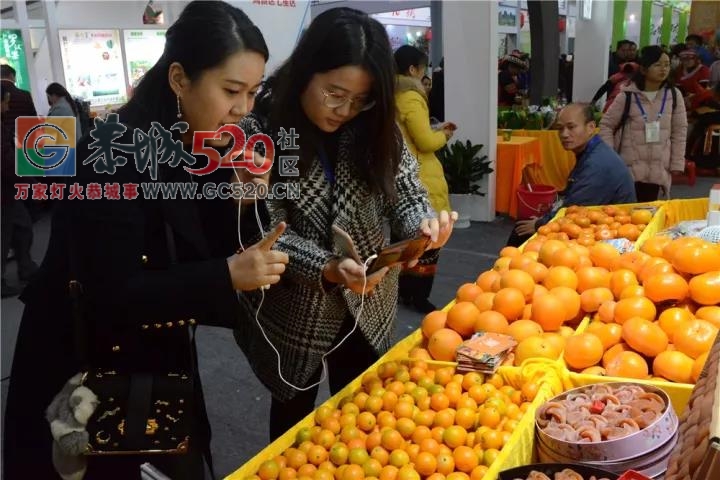 我县展出农产品在第十三届广西名特优农产品交易会抢眼248 / 作者:分叉路口 / 帖子ID:246126