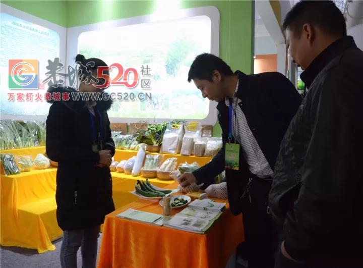 我县展出农产品在第十三届广西名特优农产品交易会抢眼981 / 作者:分叉路口 / 帖子ID:246126