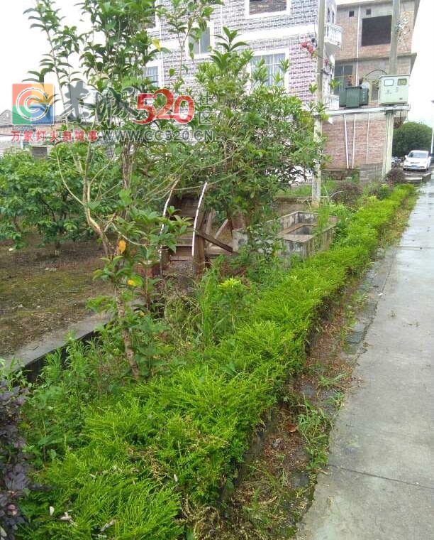 恭城莲花九甲“瑶味”。600 / 作者:东门头人 / 帖子ID:246216