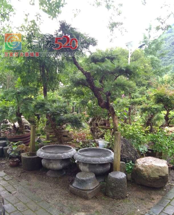 恭城莲花九甲“瑶味”。200 / 作者:东门头人 / 帖子ID:246216