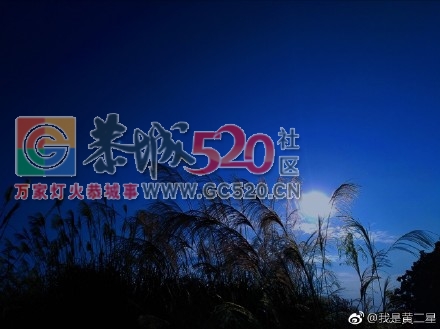 美丽大恭城506 / 作者:承接水电安装 / 帖子ID:246304