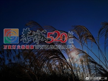美丽大恭城678 / 作者:承接水电安装 / 帖子ID:246304
