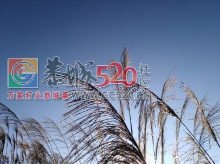 美丽大恭城98 / 作者:承接水电安装 / 帖子ID:246304