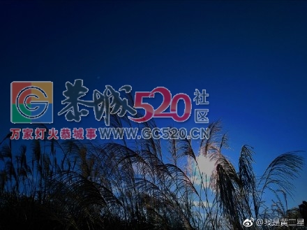 美丽大恭城488 / 作者:承接水电安装 / 帖子ID:246304