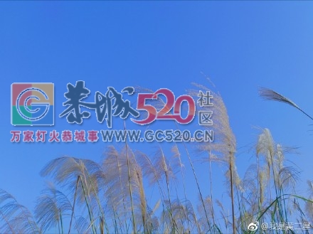 美丽大恭城724 / 作者:承接水电安装 / 帖子ID:246304