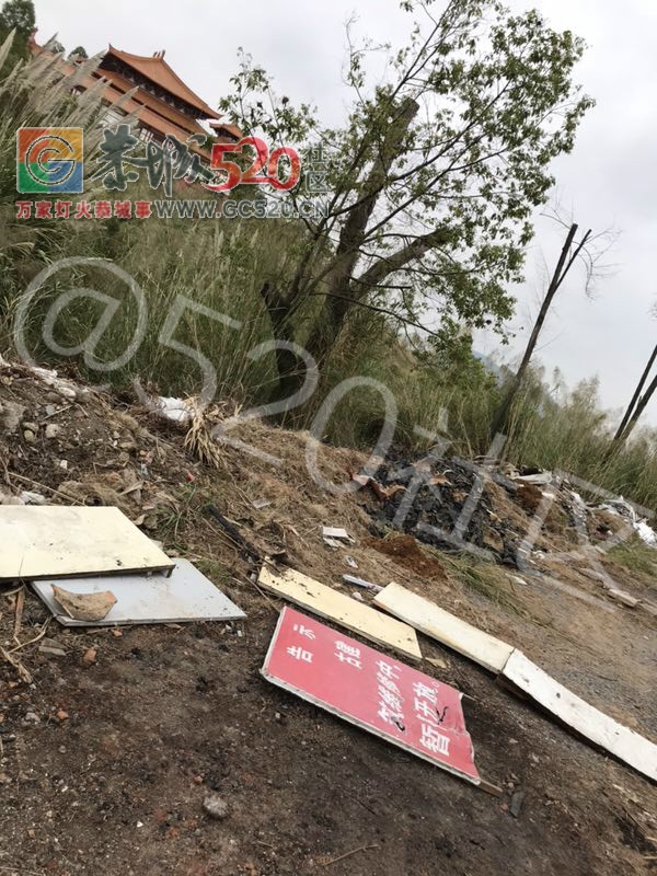 盘王阁旁小路，工地工人随便乱倒施工垃圾！！803 / 作者:兔兔呀 / 帖子ID:246322