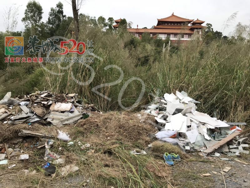 盘王阁旁小路，工地工人随便乱倒施工垃圾！！189 / 作者:兔兔呀 / 帖子ID:246322