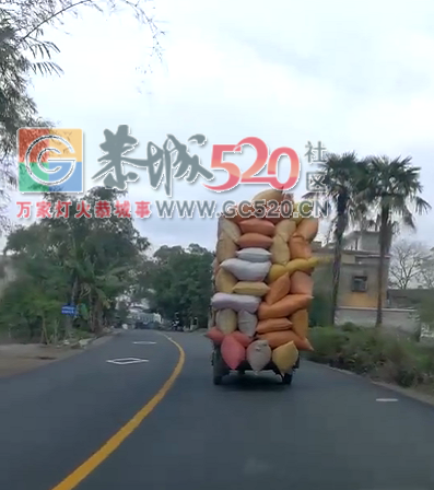 恭城街的狗古冲，真是的天下第一！！牛掰！！371 / 作者:分叉路口 / 帖子ID:246362