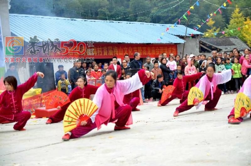 观音乡杨梅村成功举办梅山文化节暨高龙庙会神佛开光389 / 作者:恭城蚂蜂 / 帖子ID:246384