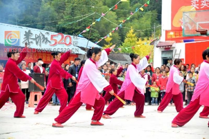 观音乡杨梅村成功举办梅山文化节暨高龙庙会神佛开光510 / 作者:恭城蚂蜂 / 帖子ID:246384
