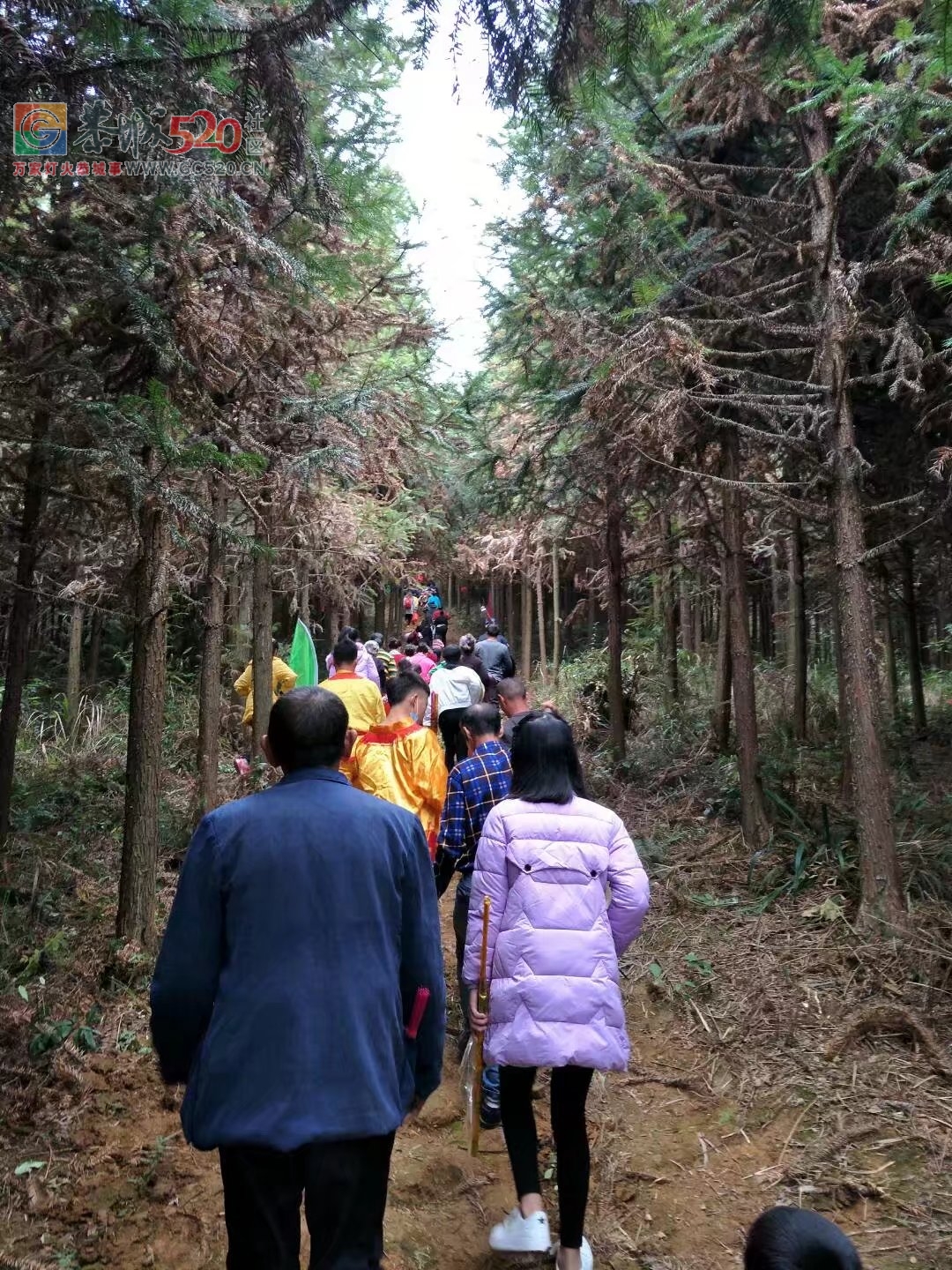 观音乡杨梅村成功举办梅山文化节暨高龙庙会神佛开光342 / 作者:恭城蚂蜂 / 帖子ID:246384