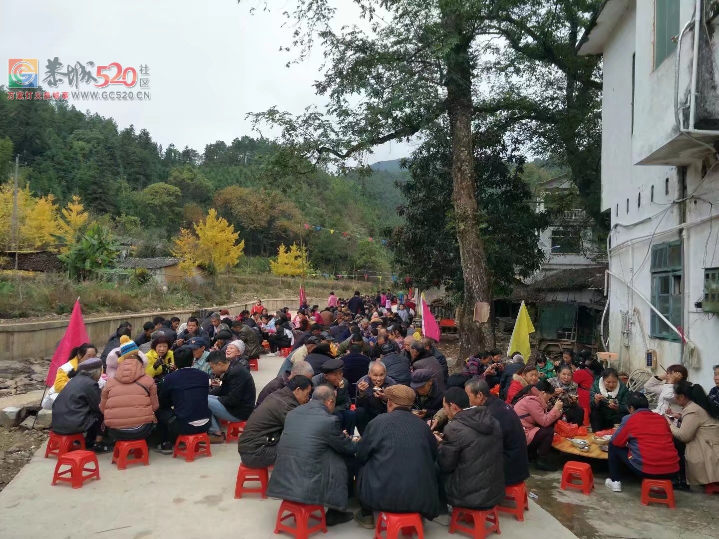 观音乡杨梅村成功举办梅山文化节暨高龙庙会神佛开光131 / 作者:恭城蚂蜂 / 帖子ID:246384