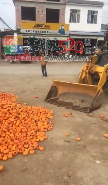 果民的心酸，是否该找下政府帮解决下实际困难了……712 / 作者:儿时的回忆 / 帖子ID:246406