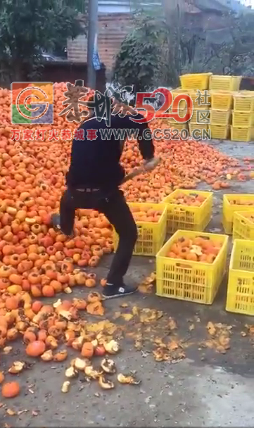 果民的心酸，是否该找下政府帮解决下实际困难了……73 / 作者:儿时的回忆 / 帖子ID:246406