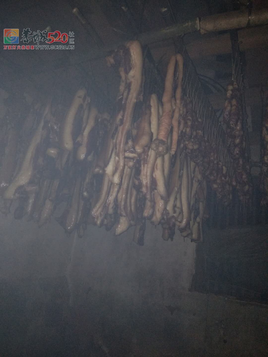 我仔这点瑶山腊肉爽啵。。965 / 作者:糕富帅 / 帖子ID:246444