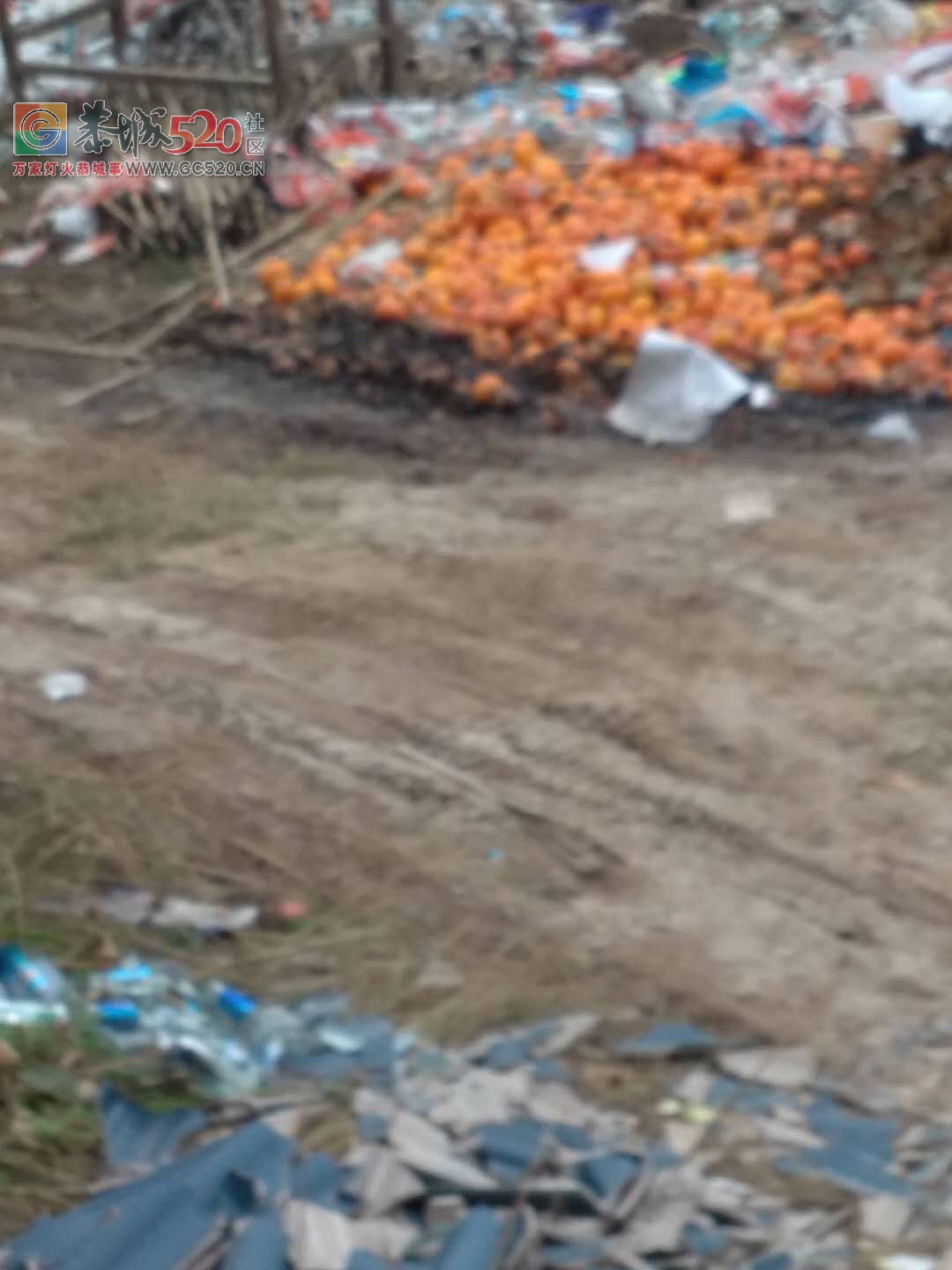 龙岗路边乱空垃圾，污染环境，没素质！！72 / 作者:讲不出神 / 帖子ID:246463