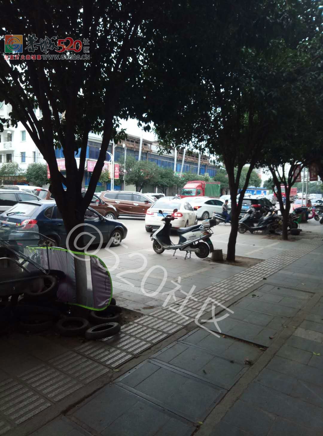 印山街今早负气违停致大堵车293 / 作者:该做的事情 / 帖子ID:246515