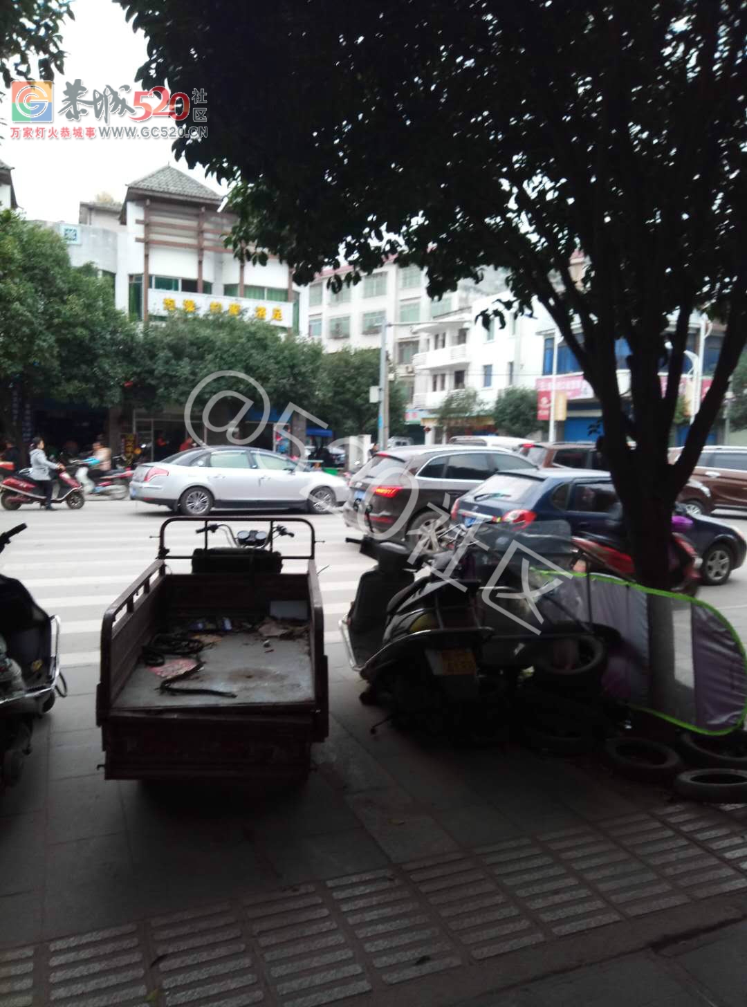 印山街今早负气违停致大堵车255 / 作者:该做的事情 / 帖子ID:246515