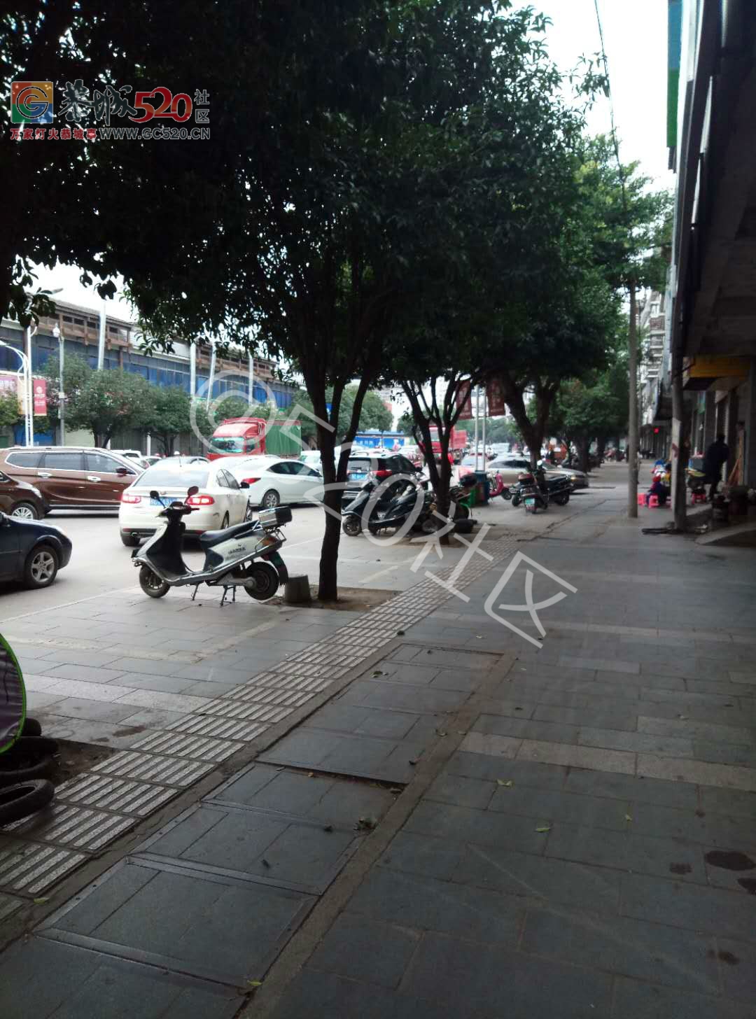 印山街今早负气违停致大堵车6 / 作者:该做的事情 / 帖子ID:246515