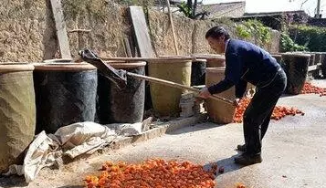 喝了柿子酒好处多啊！432 / 作者:平安帅锅 / 帖子ID:246631