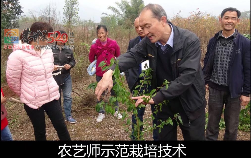 扶贫济困献爱心 ——到五福帮扶去。991 / 作者:青草文学 / 帖子ID:246634