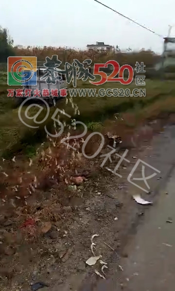 好恐怖！西岭车祸，飞机都开到田里头了，受伤娃仔不醒人事！！580 / 作者:九命猫 / 帖子ID:246680