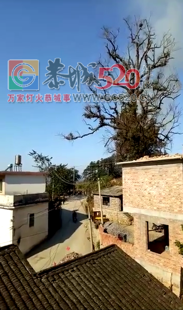 早上10点莲花崇岭村，一家民房因电线老化突然起火，整座大屋烧成灰尽997 / 作者:thkfh / 帖子ID:257950