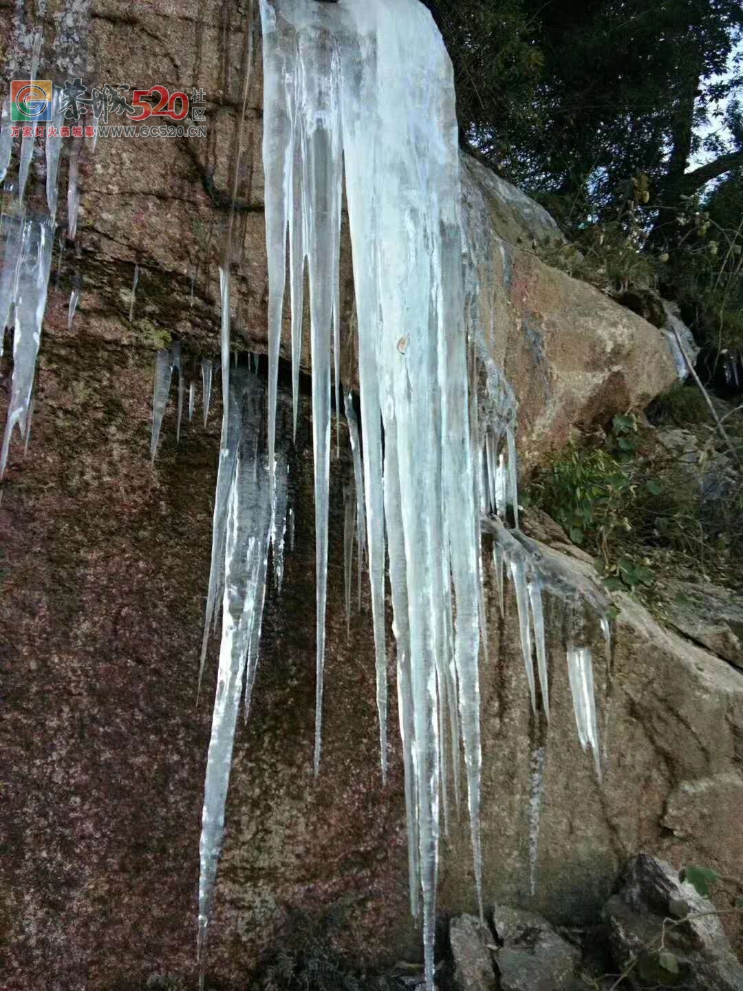 燕子山上的构子雪，好美！！896 / 作者:古建灵韵 / 帖子ID:257952