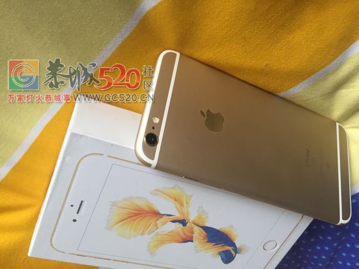 转iPhone6S Plus土豪金128G60 / 作者:903 / 帖子ID:258021