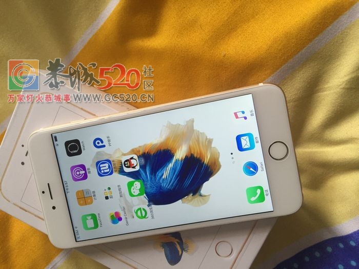 转iPhone6S Plus土豪金128G500 / 作者:903 / 帖子ID:258021