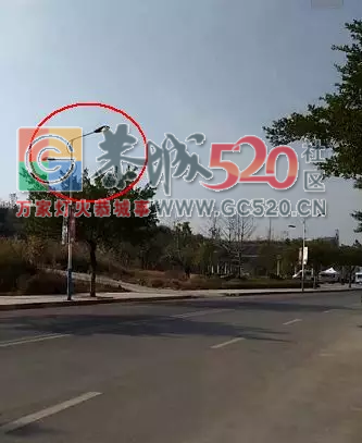 恭城文武路路灯，不仅晚上亮，白天也很亮907 / 作者:红通通 / 帖子ID:258053