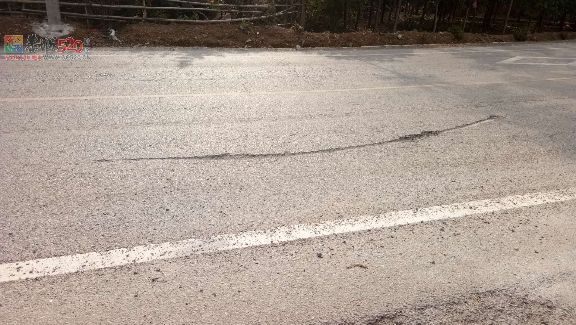 栗木镇六岭路段转弯处，这个马路上那么大个坑403 / 作者:该做的事情 / 帖子ID:258196