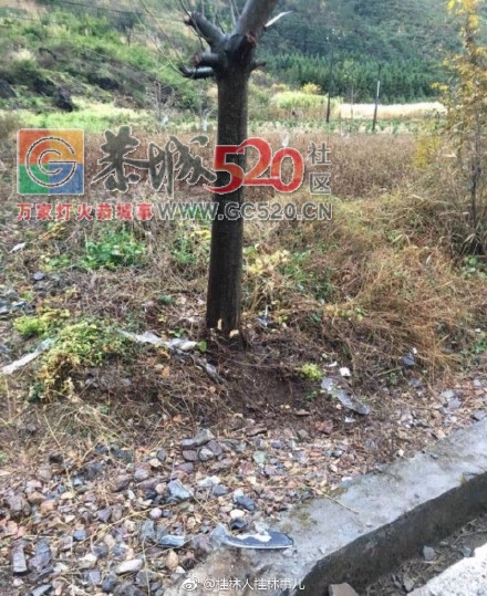 恭城突发车祸，车子基本已报废657 / 作者:狗婆蛇 / 帖子ID:258199