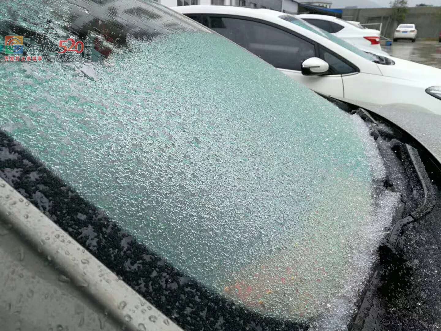 2018年的第一次雪，资源行看雪！281 / 作者:卵仔仔 / 帖子ID:258325