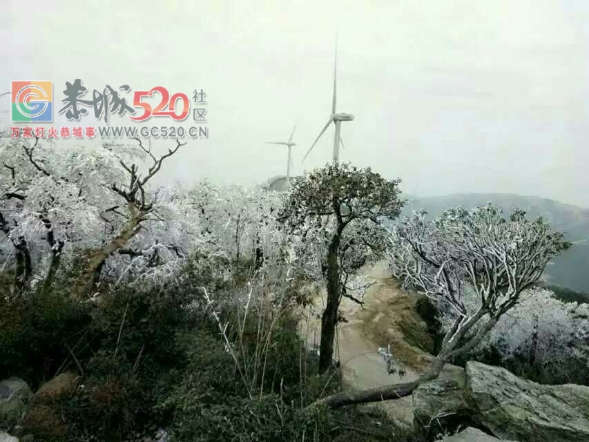 这个雪，下得美爆了！！631 / 作者:恭城是我家 / 帖子ID:258339