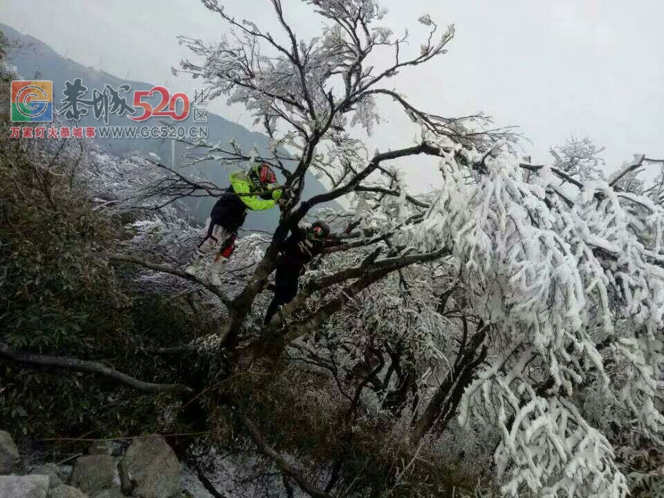 这个雪，下得美爆了！！824 / 作者:恭城是我家 / 帖子ID:258339