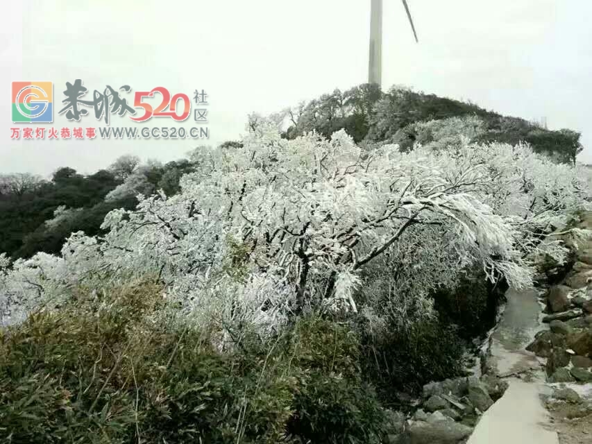 这个雪，下得美爆了！！489 / 作者:恭城是我家 / 帖子ID:258339