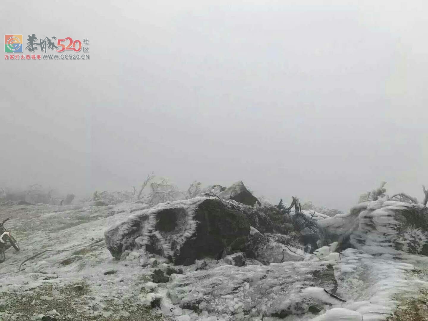 这个雪，下得美爆了！！367 / 作者:恭城是我家 / 帖子ID:258339