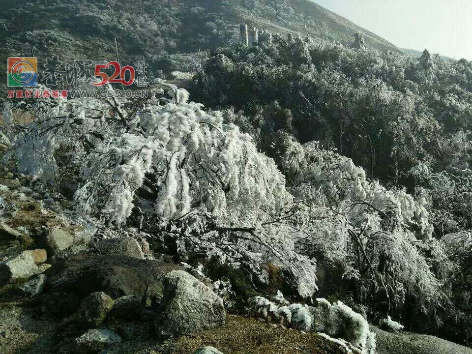 这个雪，下得美爆了！！58 / 作者:恭城是我家 / 帖子ID:258339