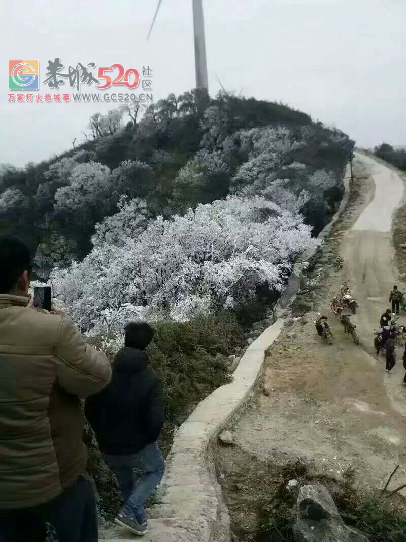 这个雪，下得美爆了！！505 / 作者:恭城是我家 / 帖子ID:258339