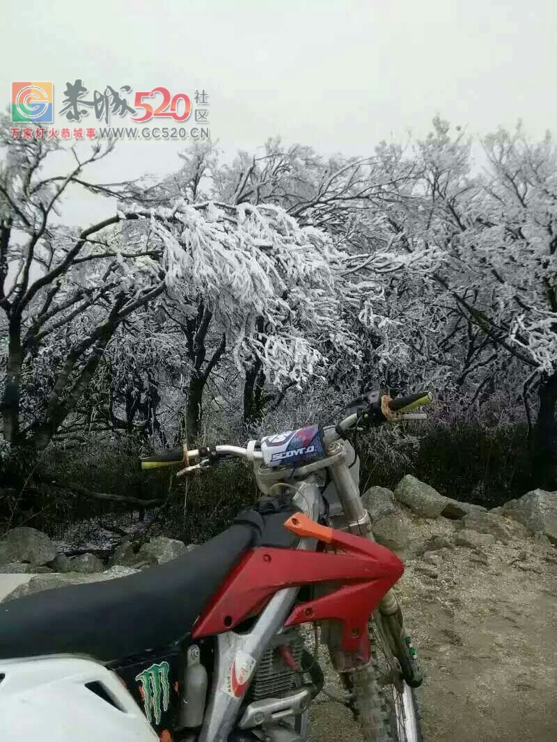 这个雪，下得美爆了！！219 / 作者:恭城是我家 / 帖子ID:258339