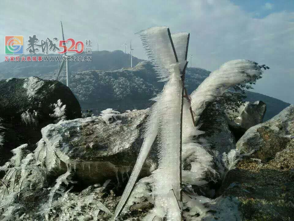 这个雪，下得美爆了！！849 / 作者:恭城是我家 / 帖子ID:258339