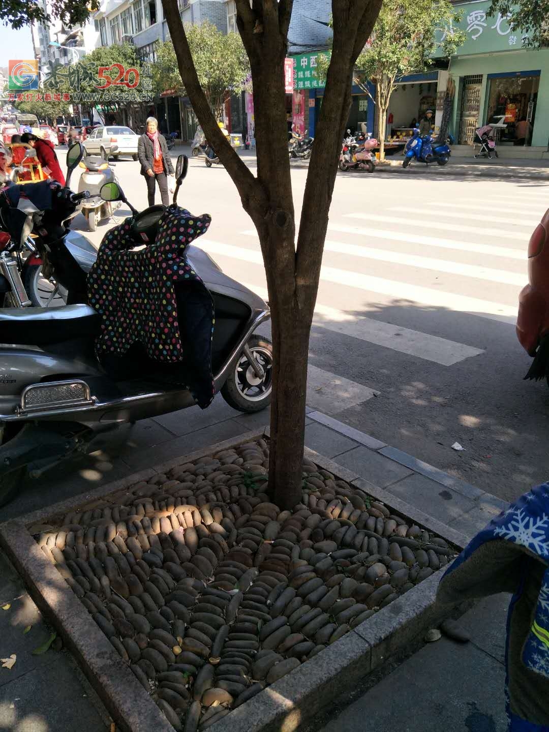 中医院路口下面一点有条斑马线，旁边停满了电动车126 / 作者:认错认怂不认输 / 帖子ID:258385
