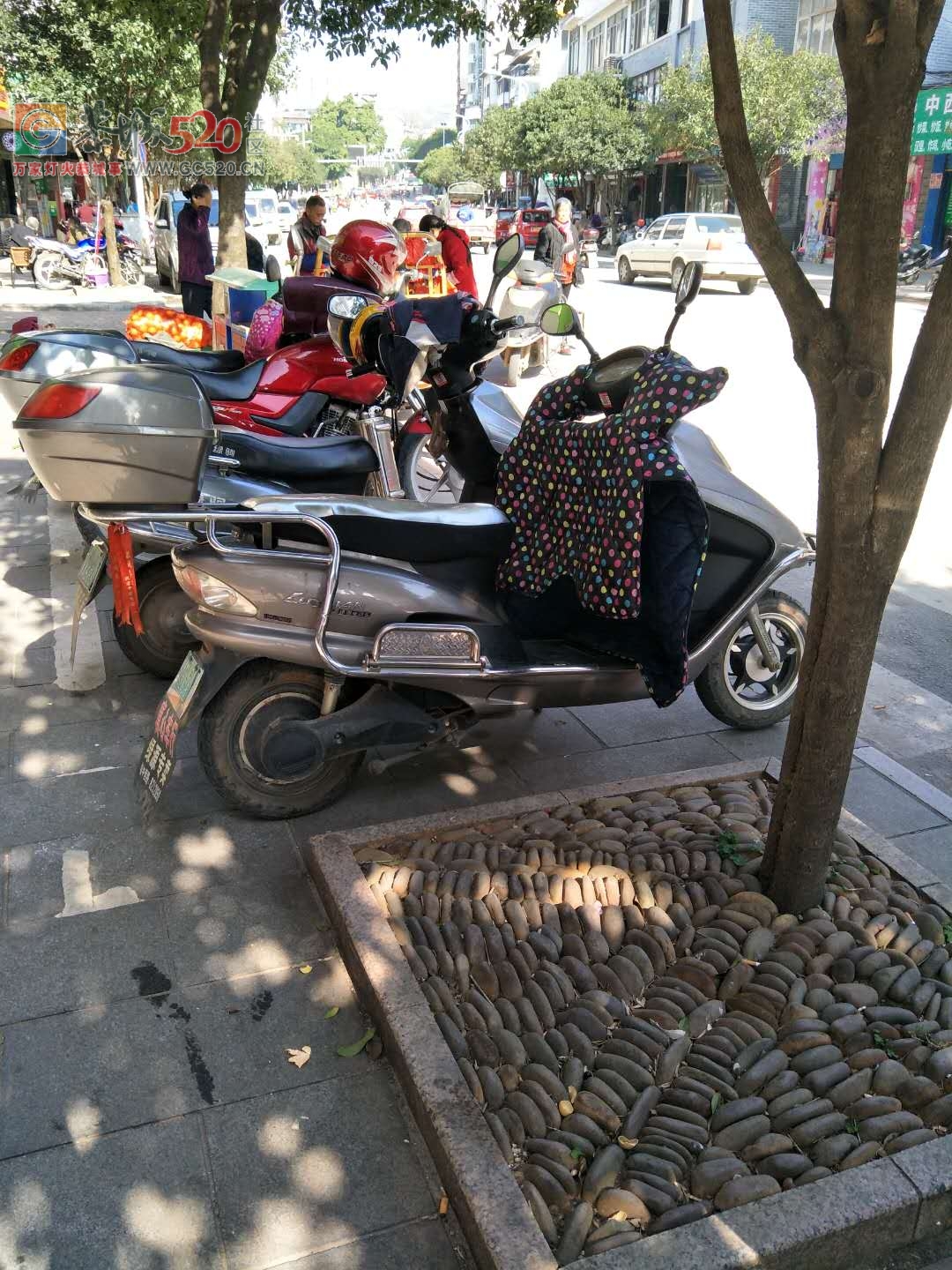 中医院路口下面一点有条斑马线，旁边停满了电动车103 / 作者:认错认怂不认输 / 帖子ID:258385