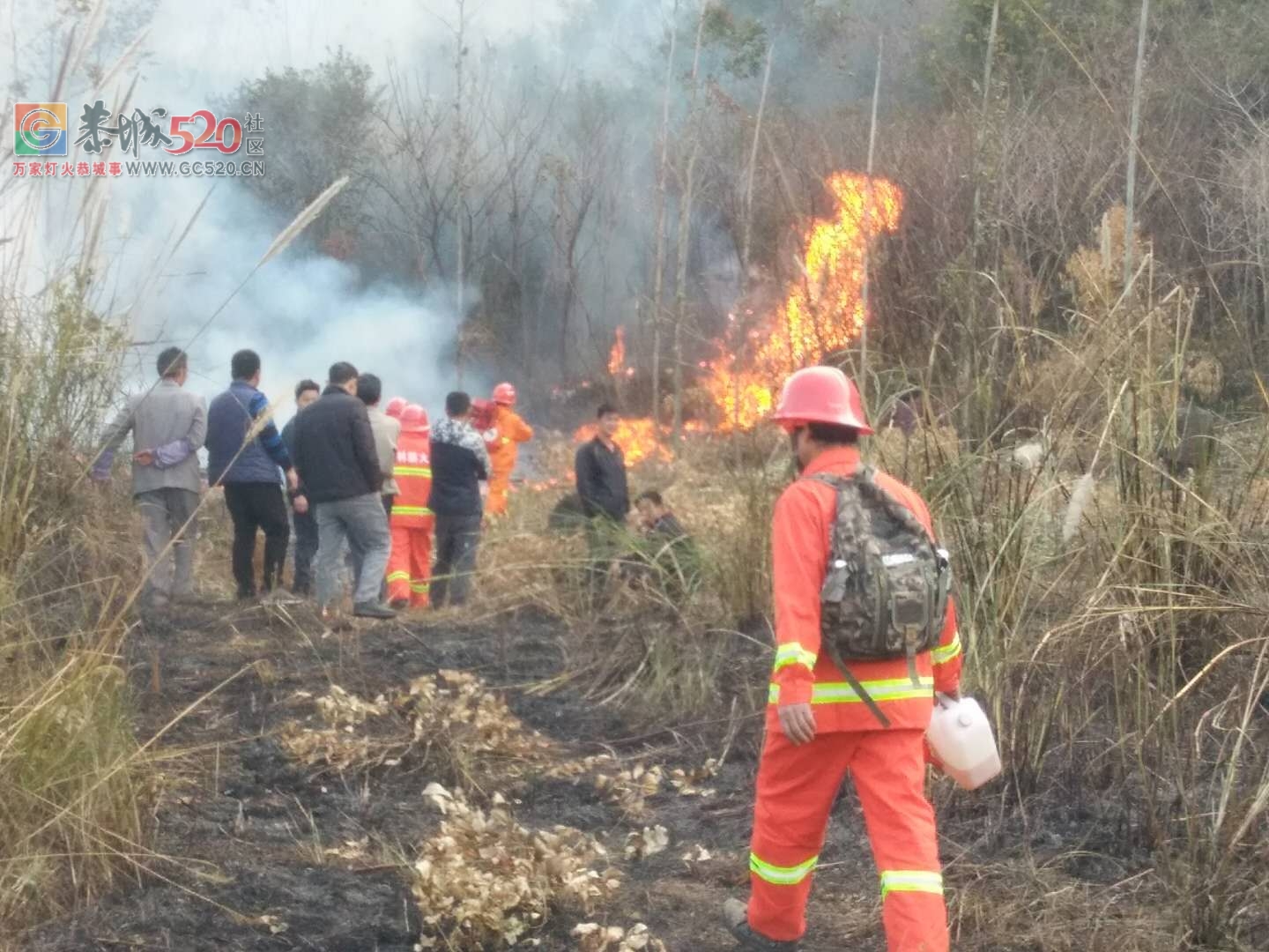 昨天加会镇小木源突发山火915 / 作者:梦梦的小屋 / 帖子ID:258386