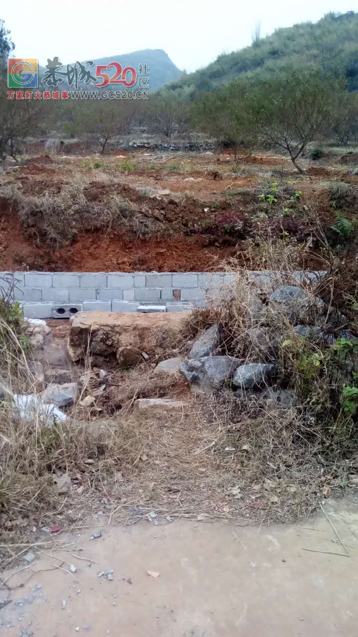 故意毁坏土地设施，找村干部解决不下，找政府又没来处理。986 / 作者:我的春天在哪里 / 帖子ID:258423