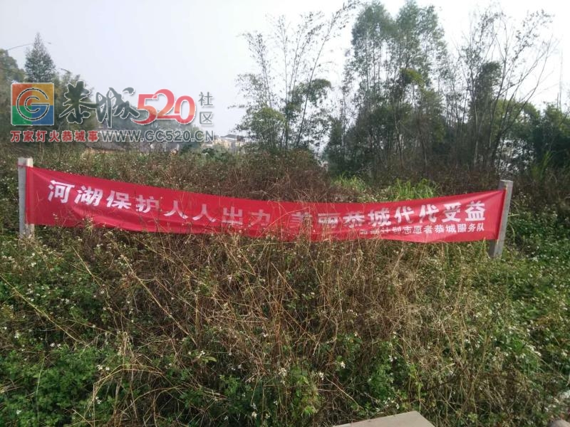 西部志愿者清理黄家圳高铁脚下河边垃圾594 / 作者:狗婆蛇 / 帖子ID:258562