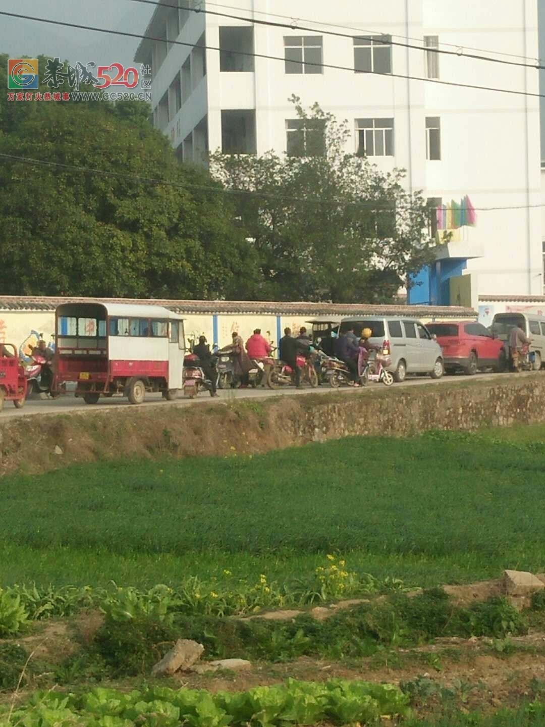 恭城加会镇加会中心小学的堵车问题363 / 作者:兔兔呀 / 帖子ID:258593